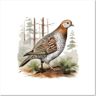 Partridge Posters and Art